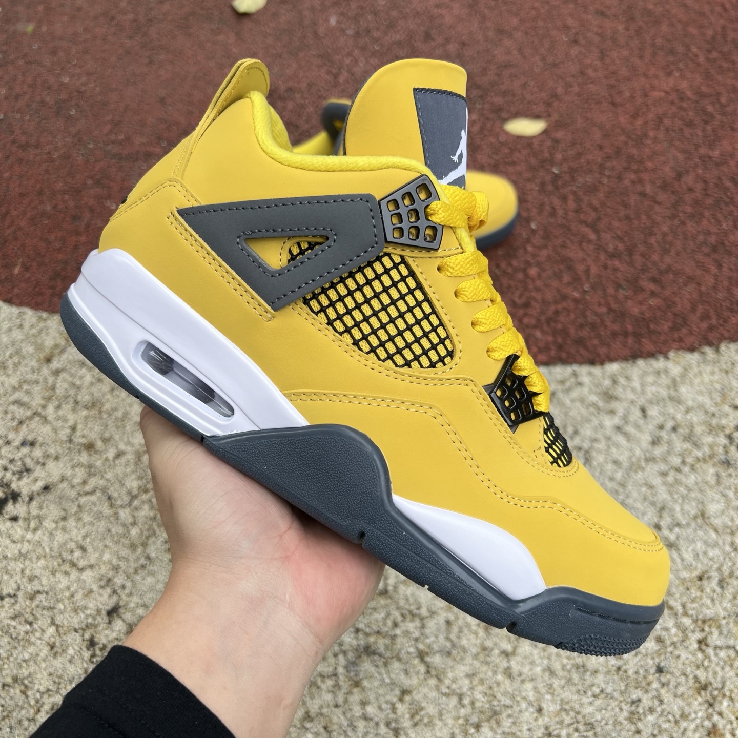 Nike Jordan shoe